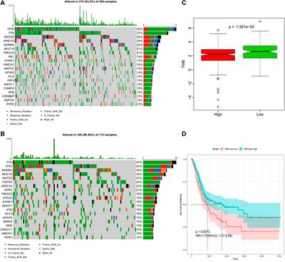 Immune Signature-Based Risk Stratification and Prediction of Immunotherapy Efficacy for Bladder Urothelial Carcinoma